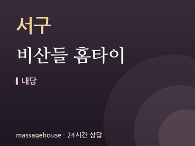 비산들 홈타이