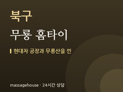 무룡 홈타이