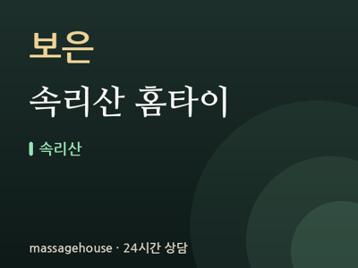 속리산 홈타이