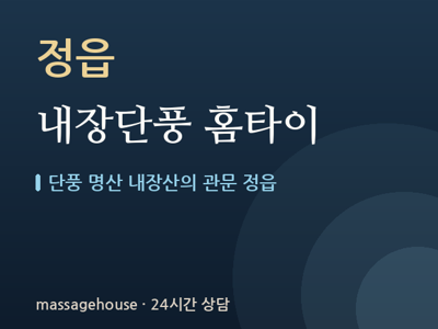 내장단풍 홈타이