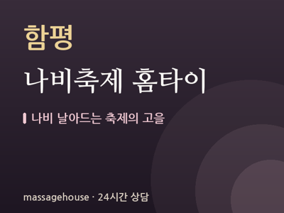 나비축제 홈타이