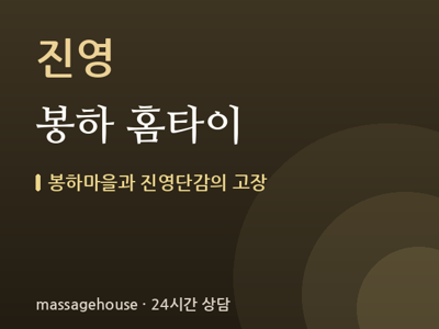 봉하 홈타이