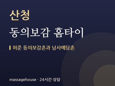 동의보감 홈타이