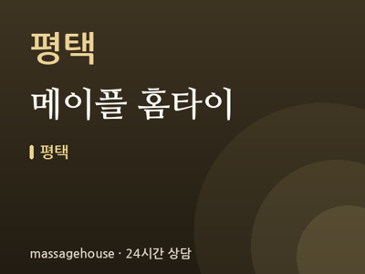 메이플 홈타이