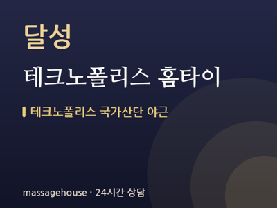 테크노폴리스 홈타이