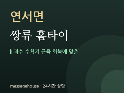 쌍류 홈타이